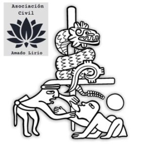 Lee más sobre el artículo Apoyo de Lumen 13 a la fundación Amado Lirio.