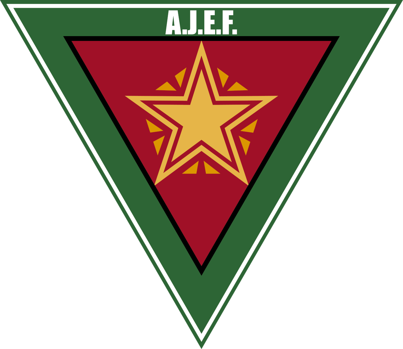 Lee más sobre el artículo AJEF: Reunión para los proyectos que permitan su impulso.